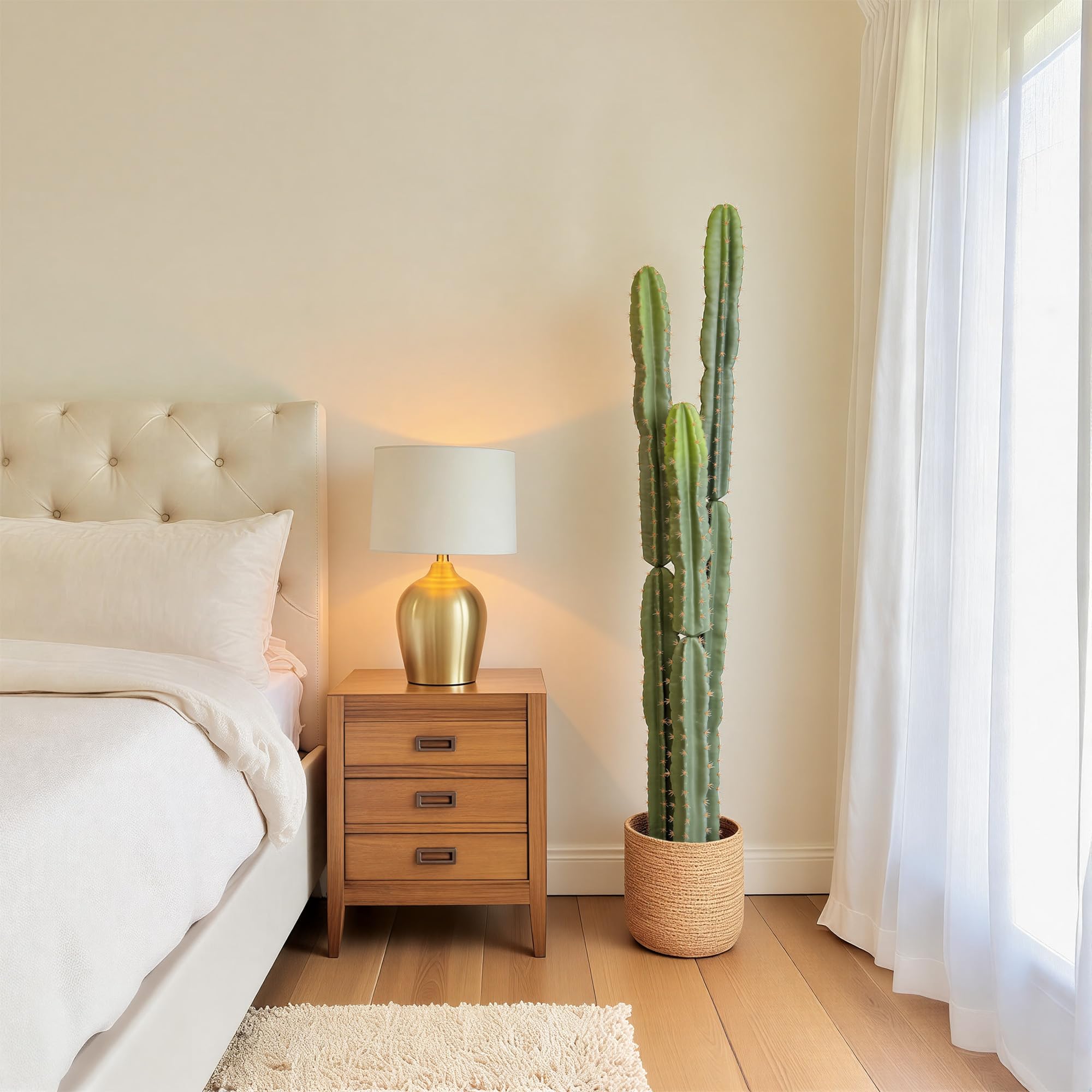 Bellacat cactus decor suited for indoor and outdoor spaces, from homes to patios.