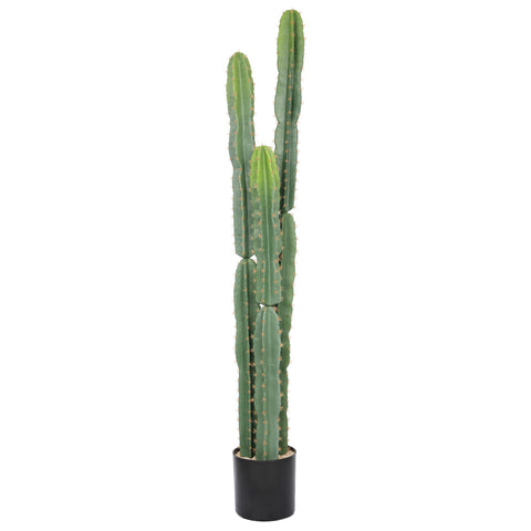 Bellacat large artificial cactus full view in black pot ideal for standout home decor.