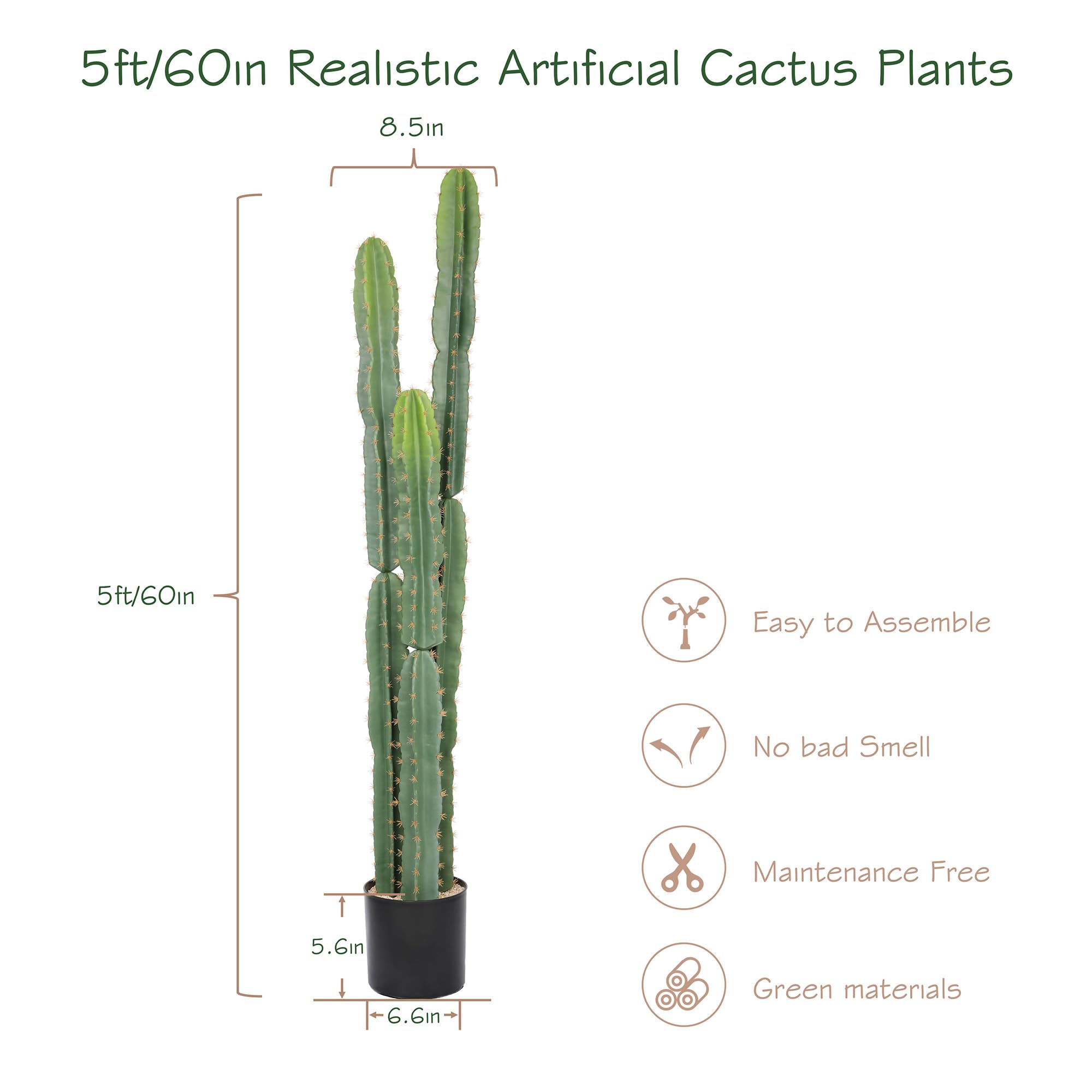 Bellacat large cactus with stable black pot prevents tipping in any room.