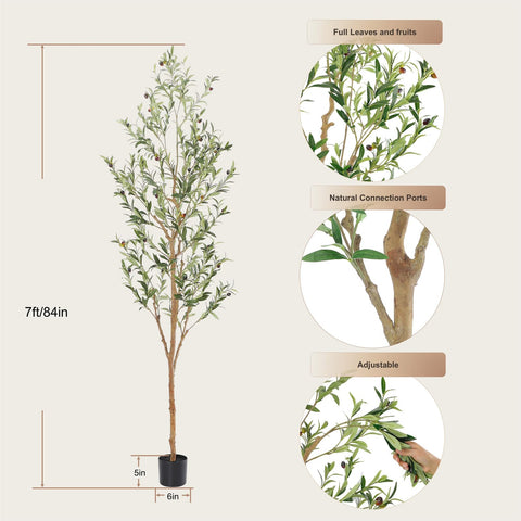 Bellacat 7ft olive tree easy assembly for flexible arrangement.