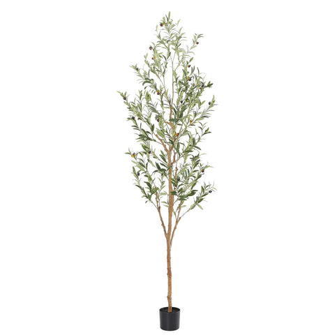 Bellacat 7ft olive tree with natural trunk for realistic indoor decor.