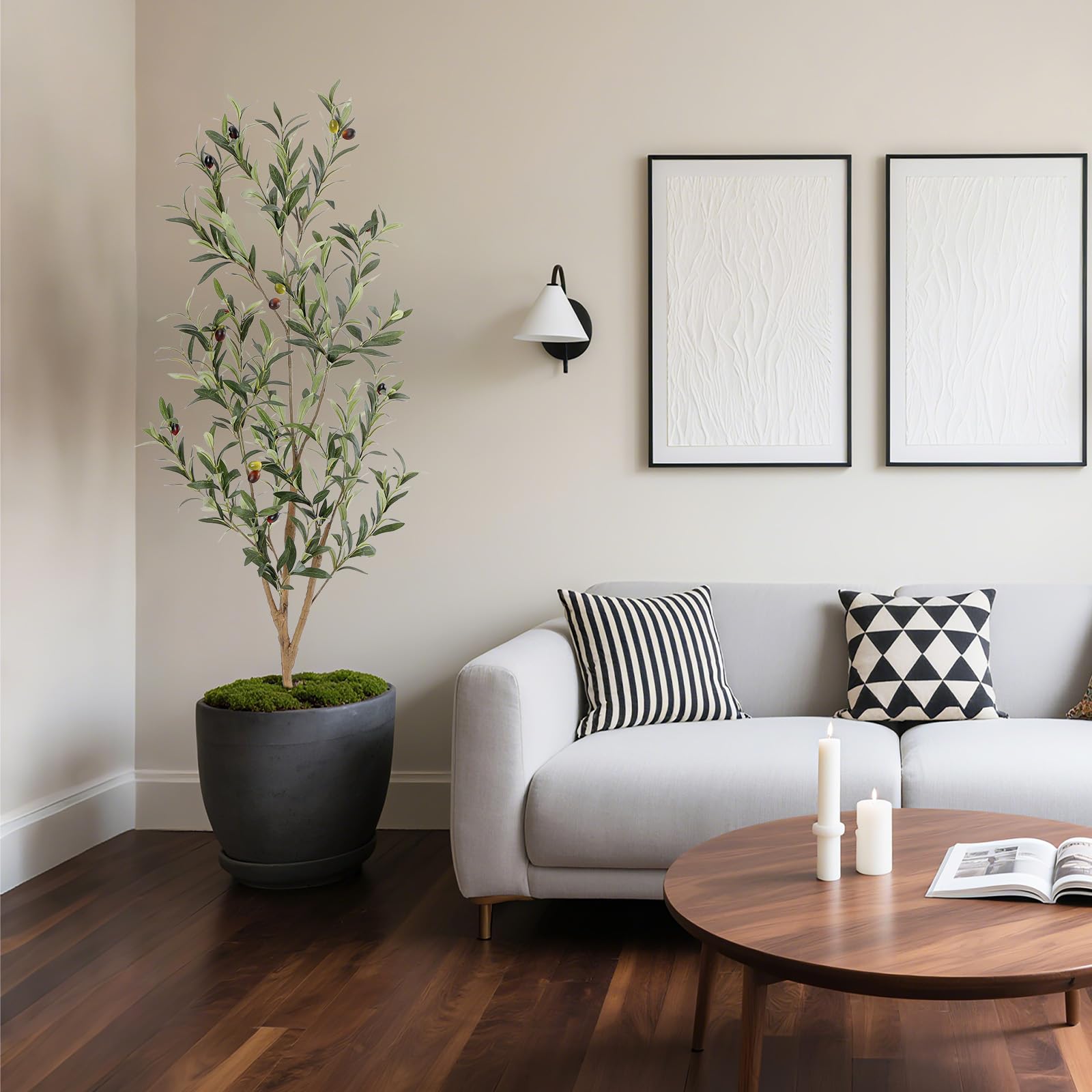 Bellacat indoor decor layout suits homes and offices.