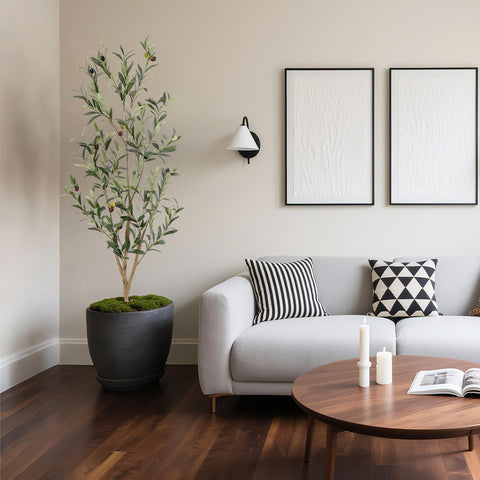 Bellacat indoor decor layout suits homes and offices.