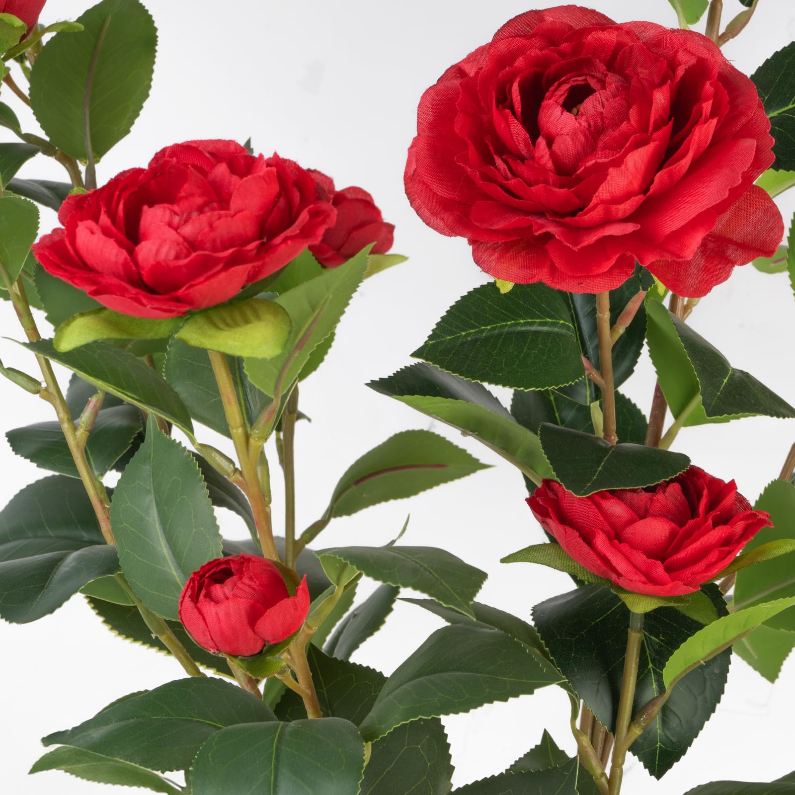 Berdkaba modern office or living room camellia tree enhances space.