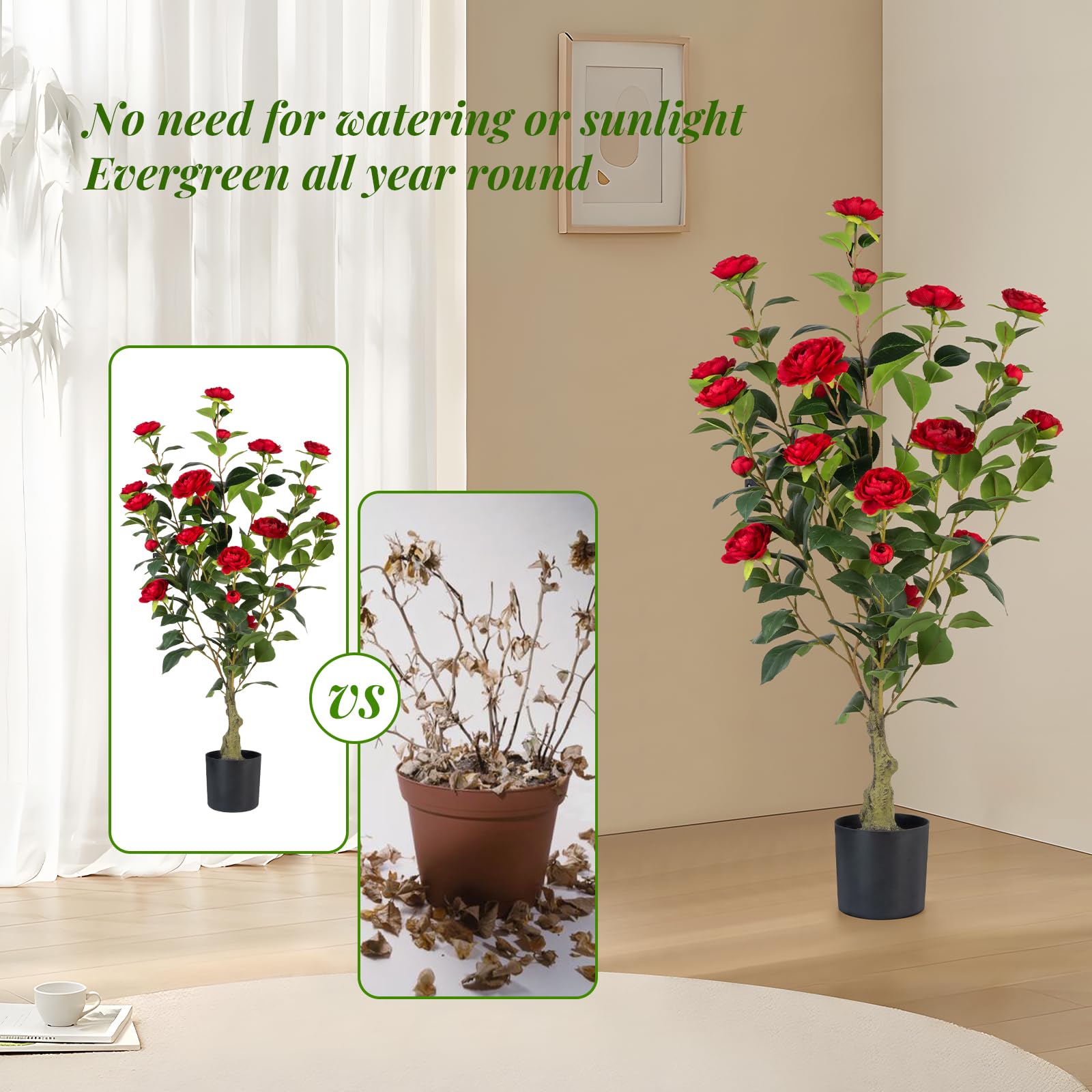Berdkaba versatile decor option for multiroom use with camellia trees.