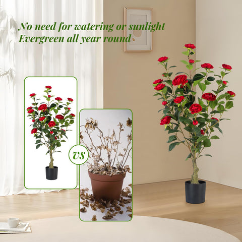 Berdkaba versatile decor option for multiroom use with camellia trees.
