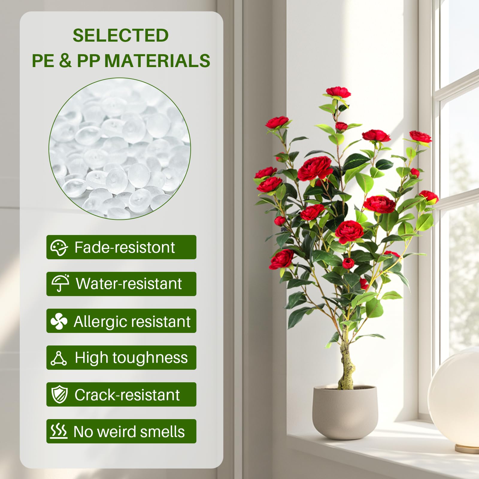 Berdkaba sturdy plastic pot supports long-lasting indoor display.