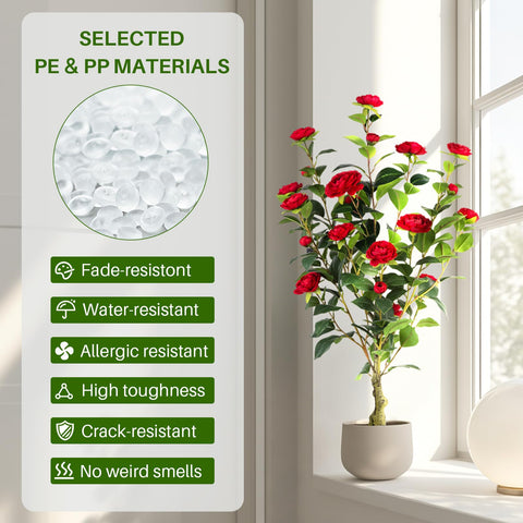 Berdkaba sturdy plastic pot supports long-lasting indoor display.