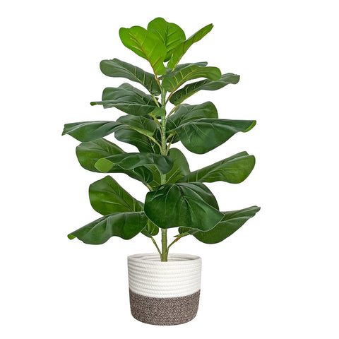 BESAMENATURE artificial fiddle-leaf fig tree brings lifelike greenery to any room decor.
