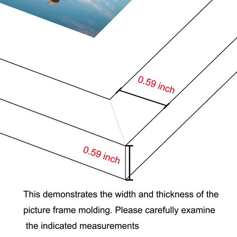 BESCRCL 18x24 frame acrylic shield protects photos from scratches and dust.
