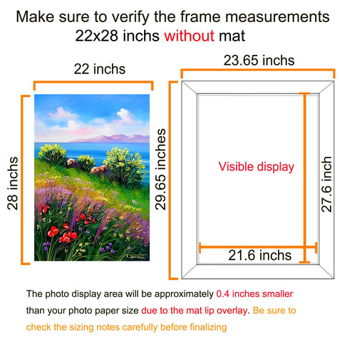 BESCRCL 22x28 frame acrylic cover close-up with protective clarity.