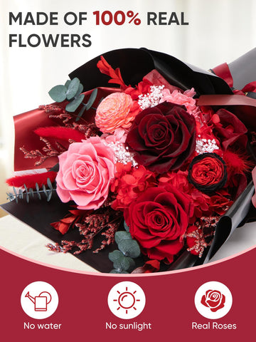Bessol roses-soft-petal-closeup highlights delicate textures and craft quality.