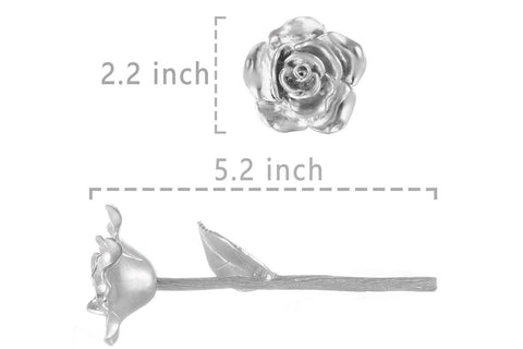 BESZONE Tin Rose packaging demonstrates care, ideal for wife on 10th anniversary