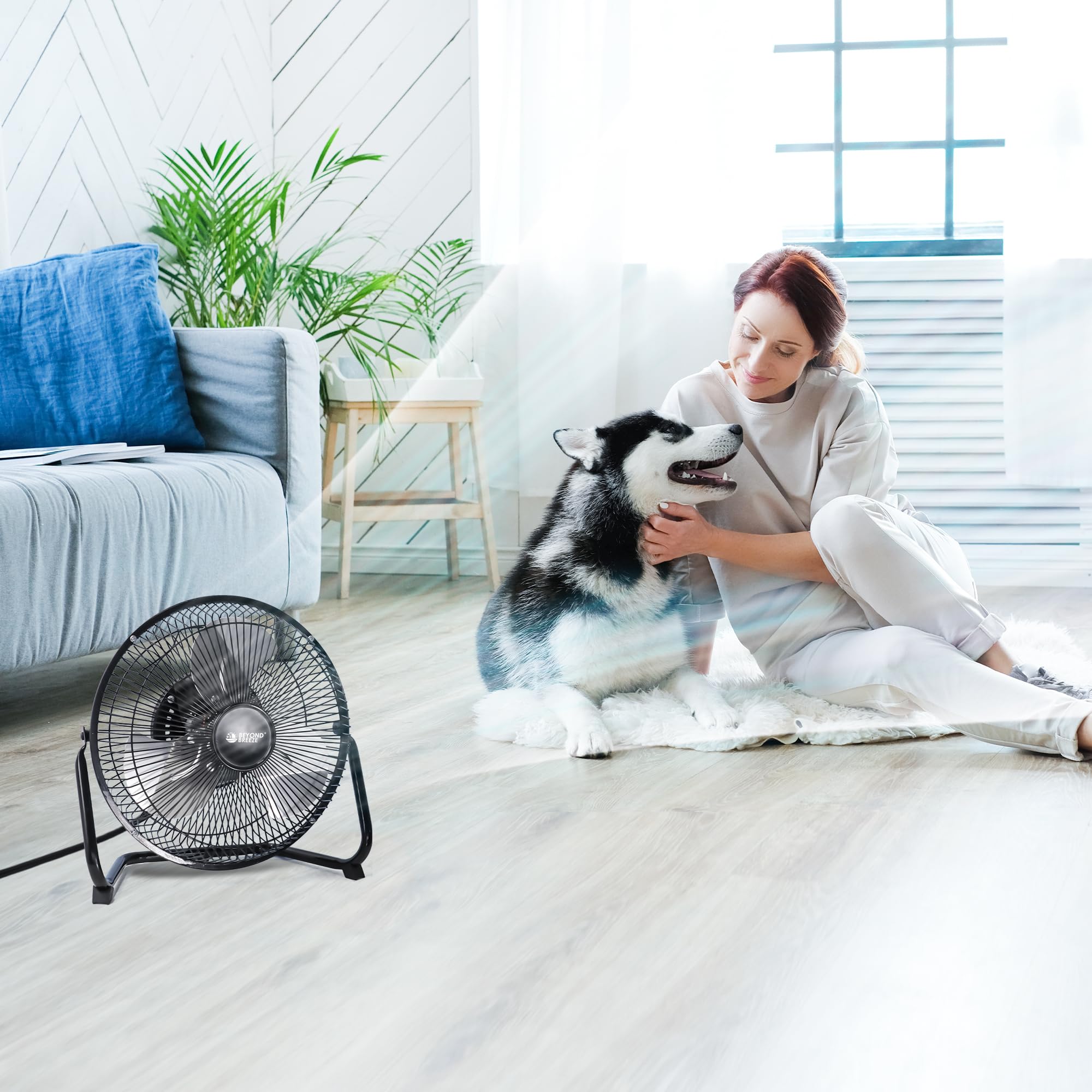 Beyond Breeze carry handle allows quick relocation between rooms.