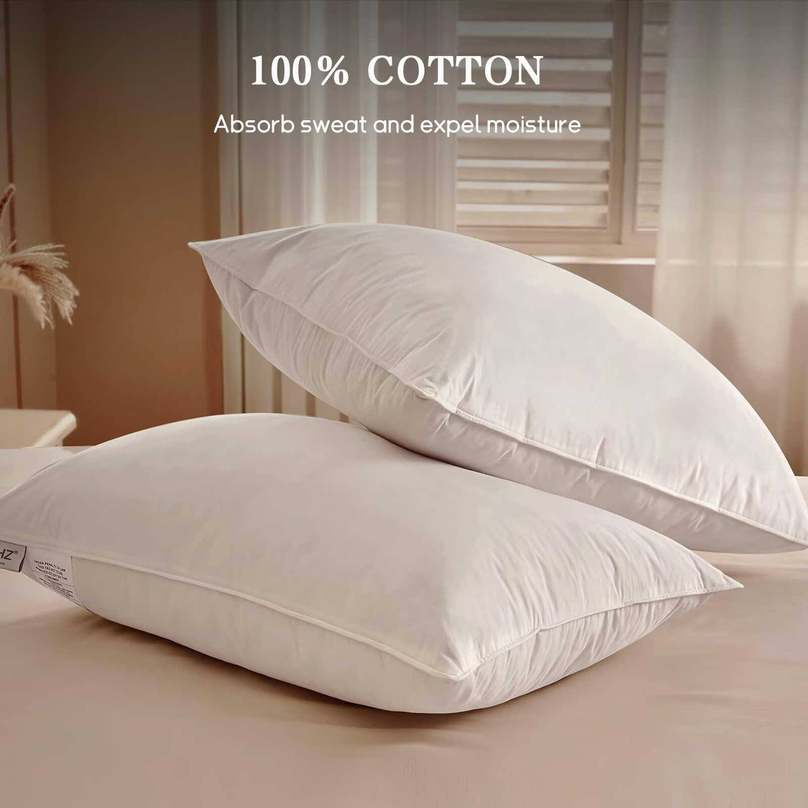 BHZ hotel-quality down pillows in a gift-ready box.