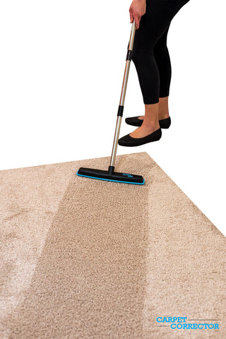 The Big Carpet Corrector removes pet hair from stairs and rugs.