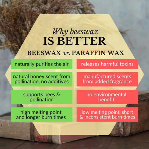 Big Dipper Wax Works clean-burning candle with eco-friendly cotton wick.