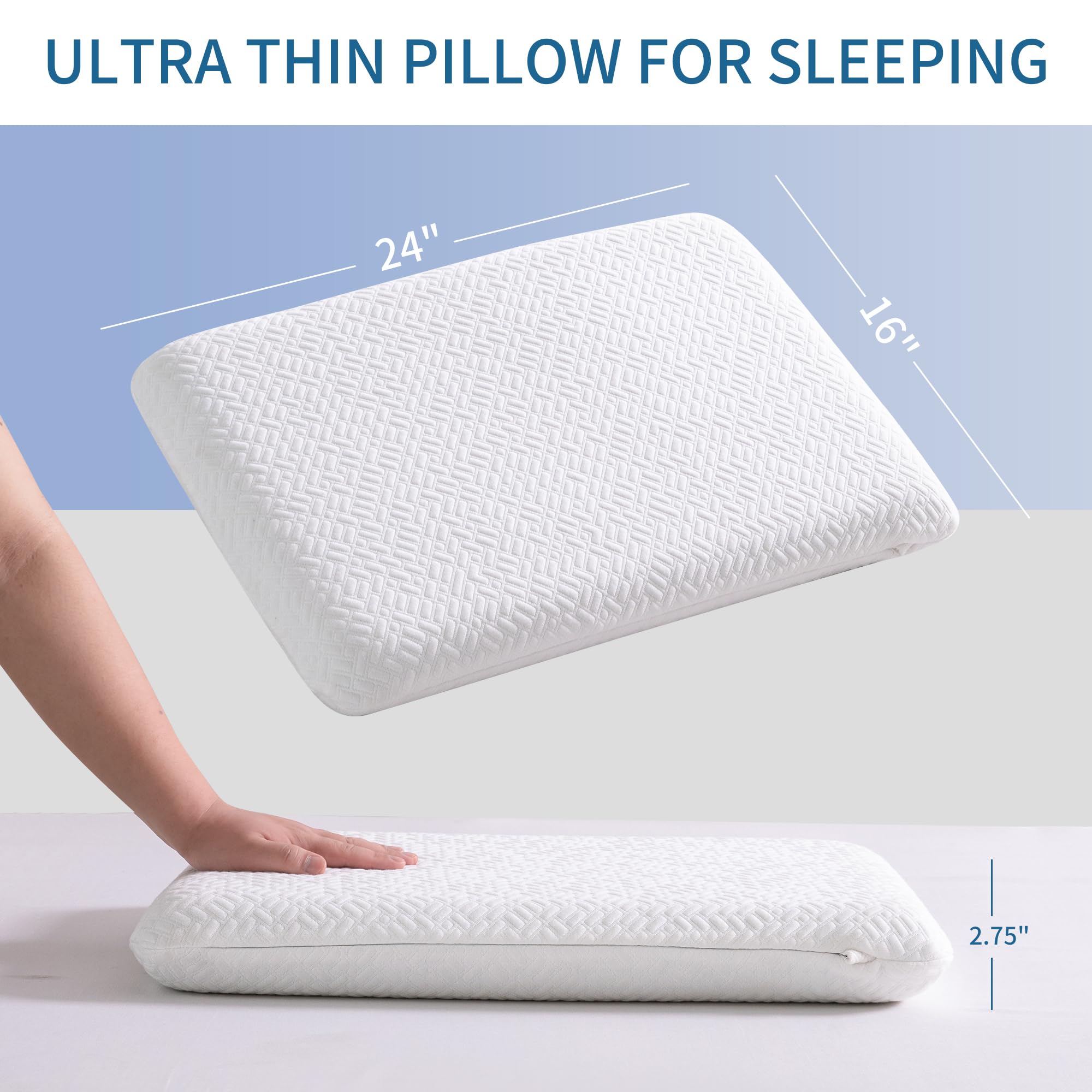 Bigpawl flat memory foam core provides steady support for restful sleep.