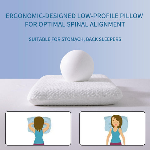 Bigpawl removable machine-washable cover for easy care and freshness.
