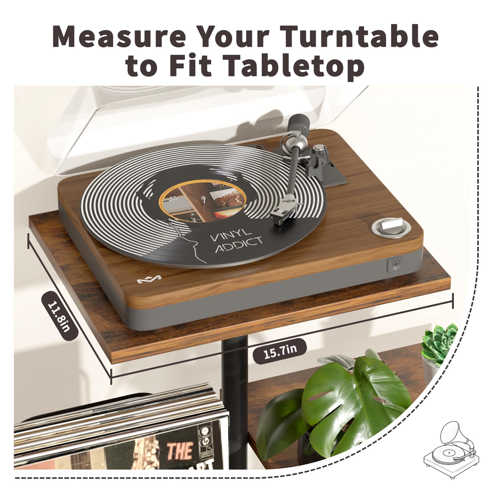 Bikoney Front-facing album display slot for easy browsing