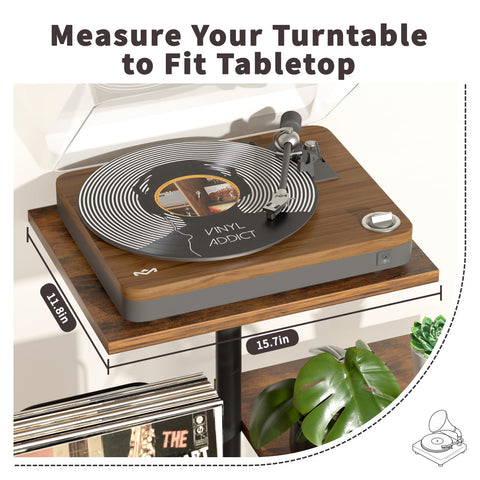 Bikoney Front-facing album display slot for easy browsing