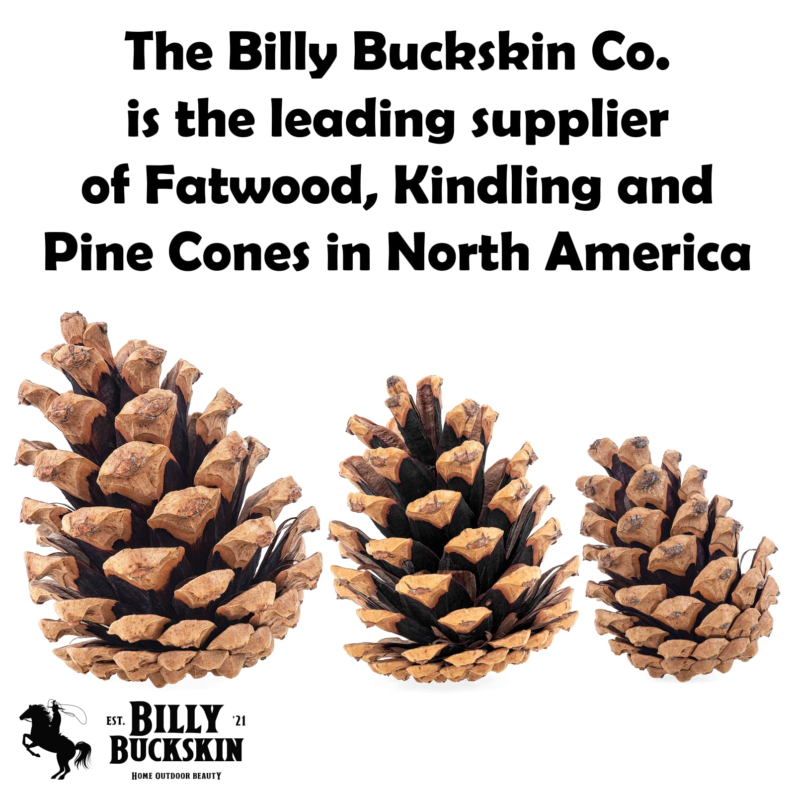 Billy Buckskin pinecones natural fire starter for cozy evenings.
