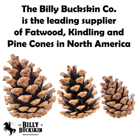 Billy Buckskin pinecones natural fire starter for cozy evenings.