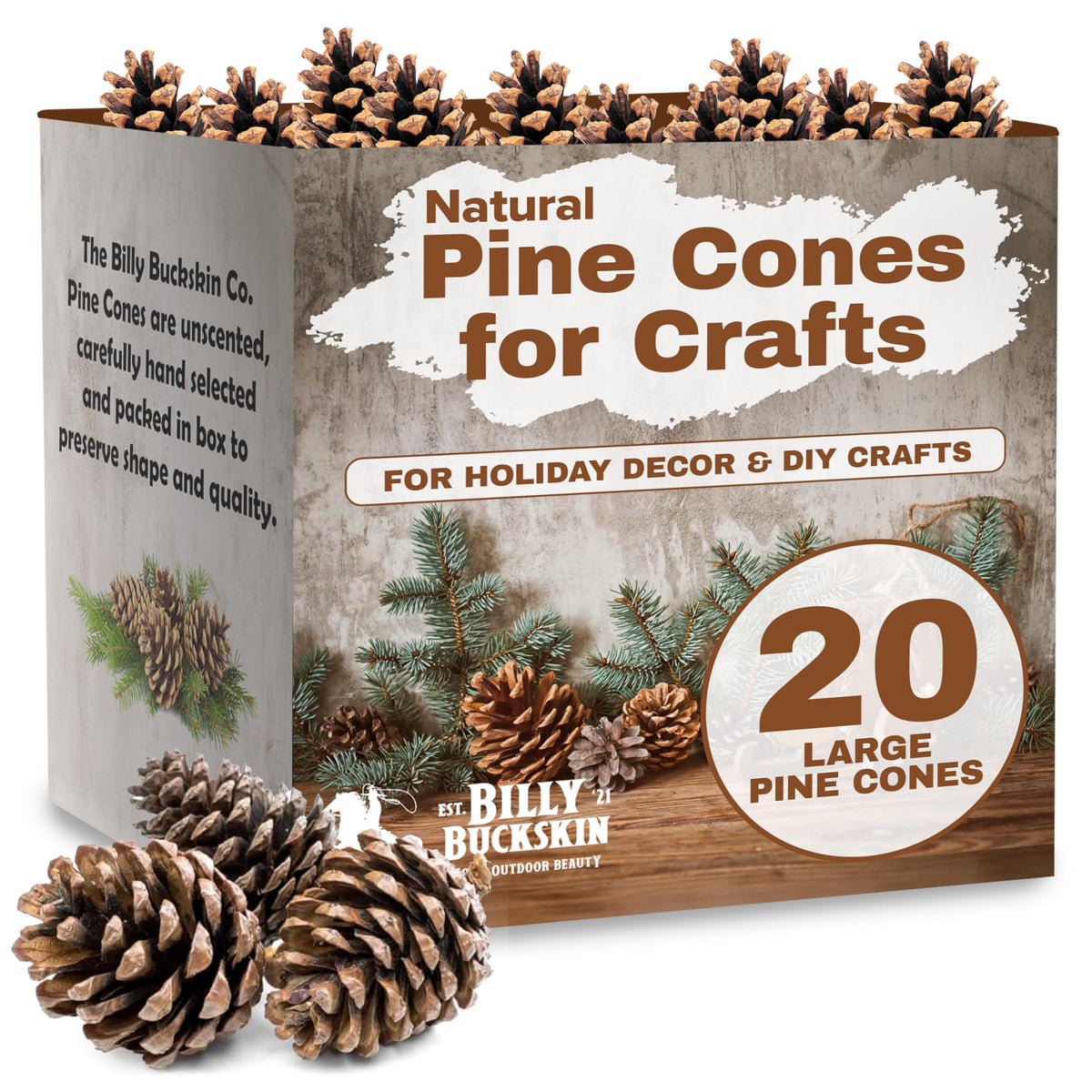 Billy Buckskin pinecones 3-4 inch crafts ready for DIY projects.