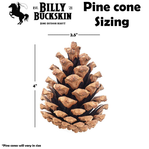 Billy Buckskin pinecones table centerpiece add natural texture.