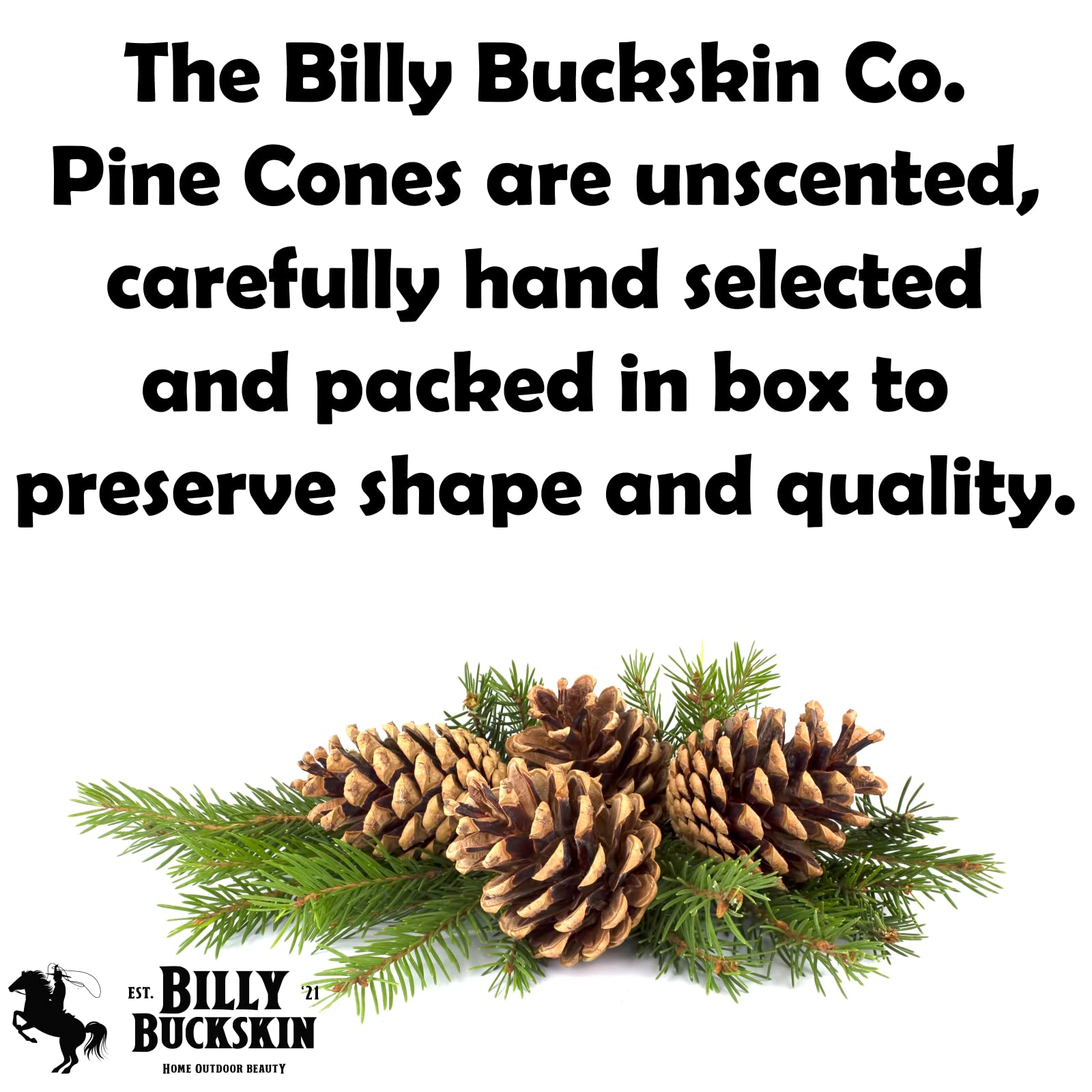 Billy Buckskin pinecones vase fillers for warm unscented displays.