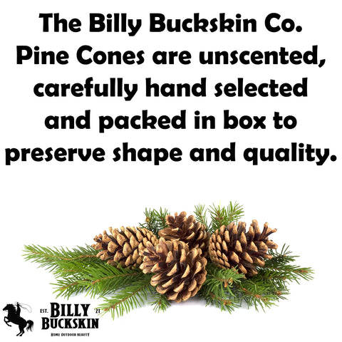 Billy Buckskin pinecones vase fillers for warm unscented displays.
