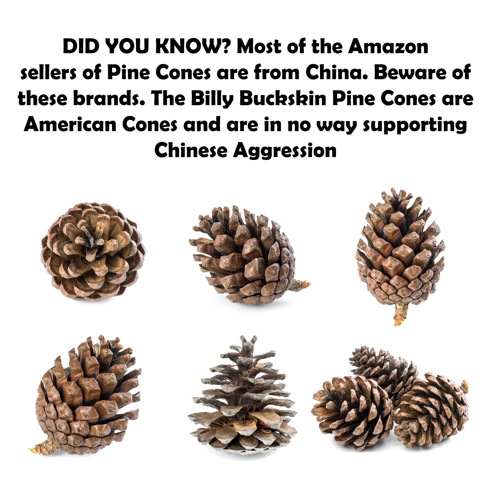 Billy Buckskin pinecones year-round decor for rustic spaces.