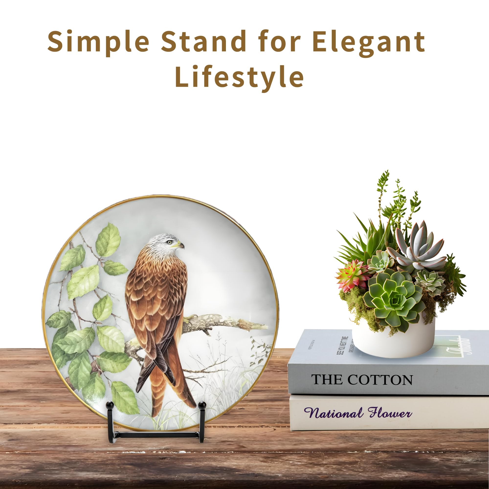 Birity living room display stand adds elegance to artwork and keepsakes