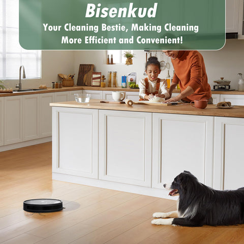 Bisenkud Roomba Q052 AutoEmpty Dock compatibility and maintenance
