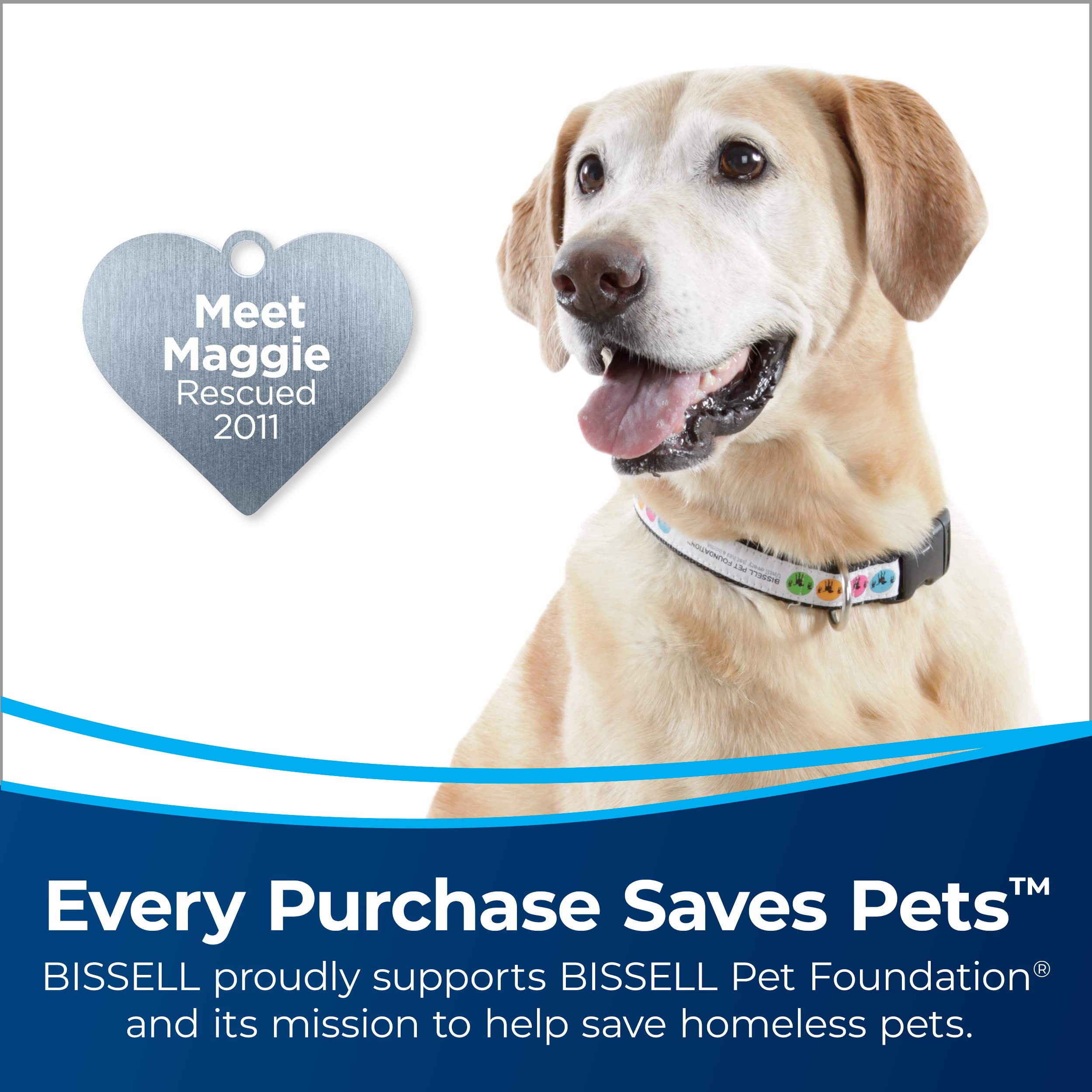 Bissell Active Extension Wand reaches stairs and corners for hard-to-reach messes.