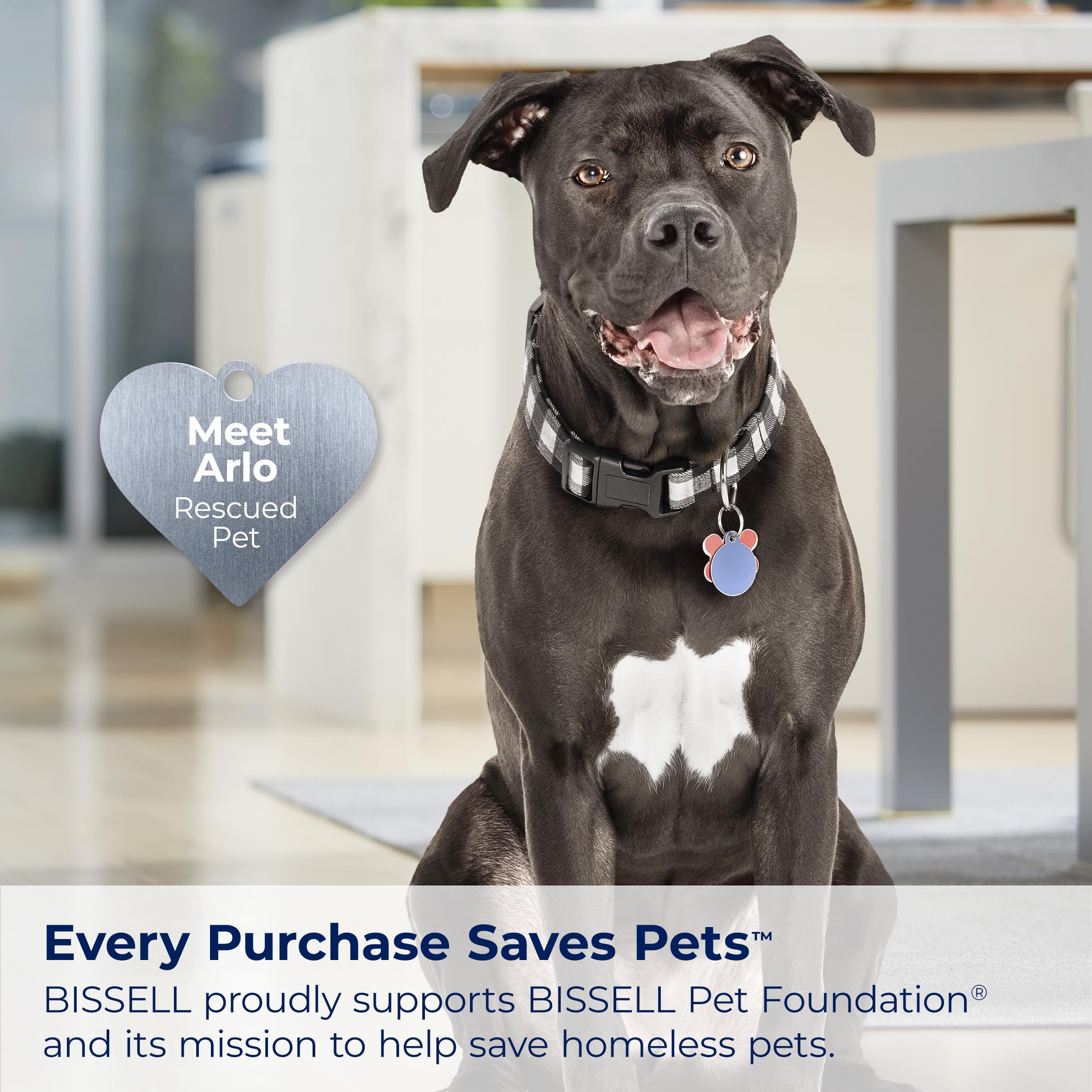 Bissell CleanView XR converts to handheld with a long-reaching nozzle.