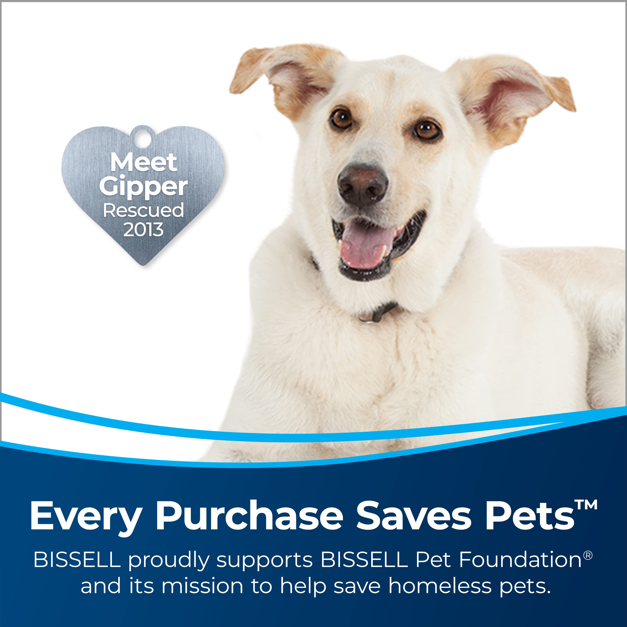 Bissell Featherweight PowerBrush motorized brush roll delivers strong suction on carpets.