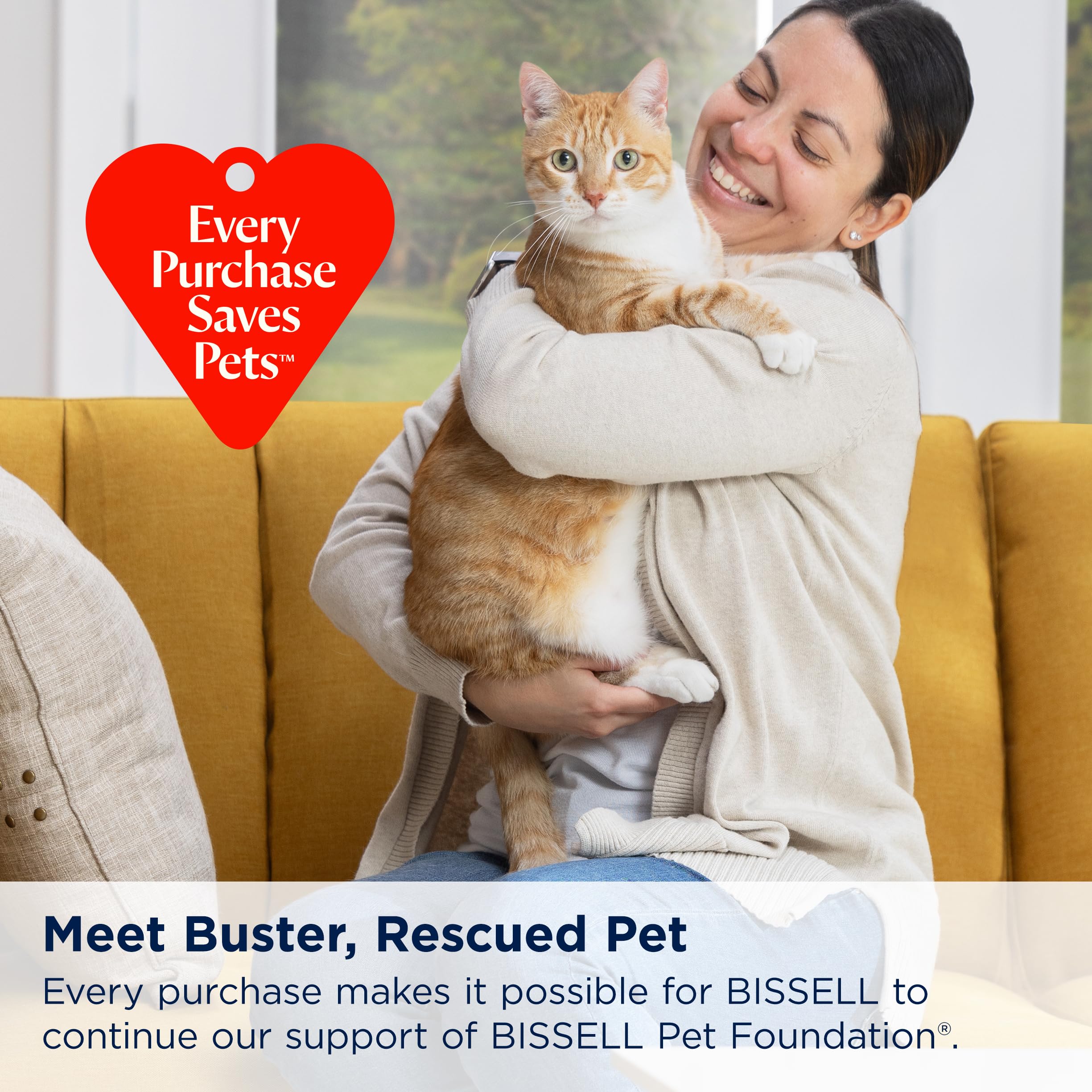 Bissell Little Green ProHeat Pet cleaning car interior upholstery