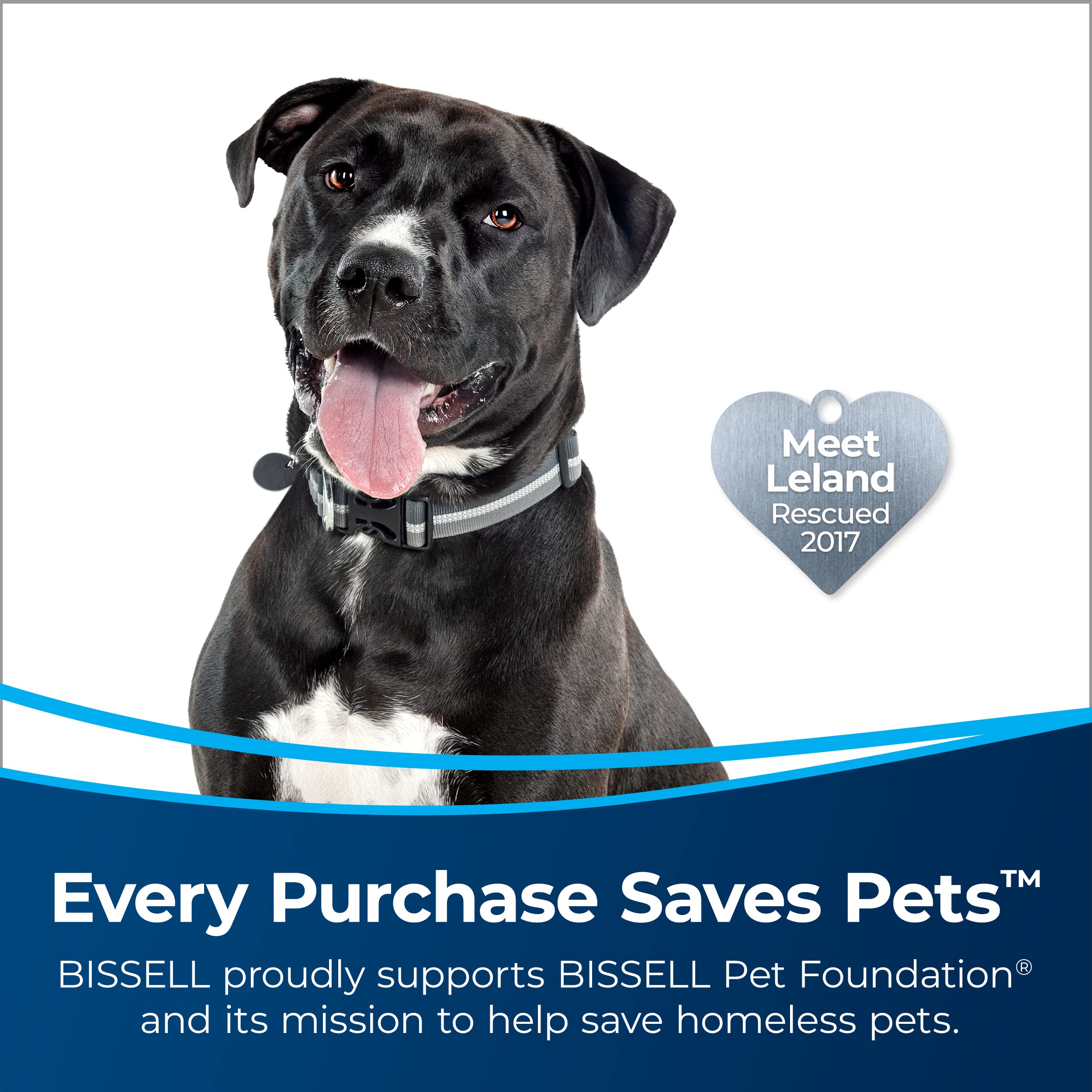 BISSELL MultiClean Lift-Off pod detached for versatile stairs and upholstery cleaning.
