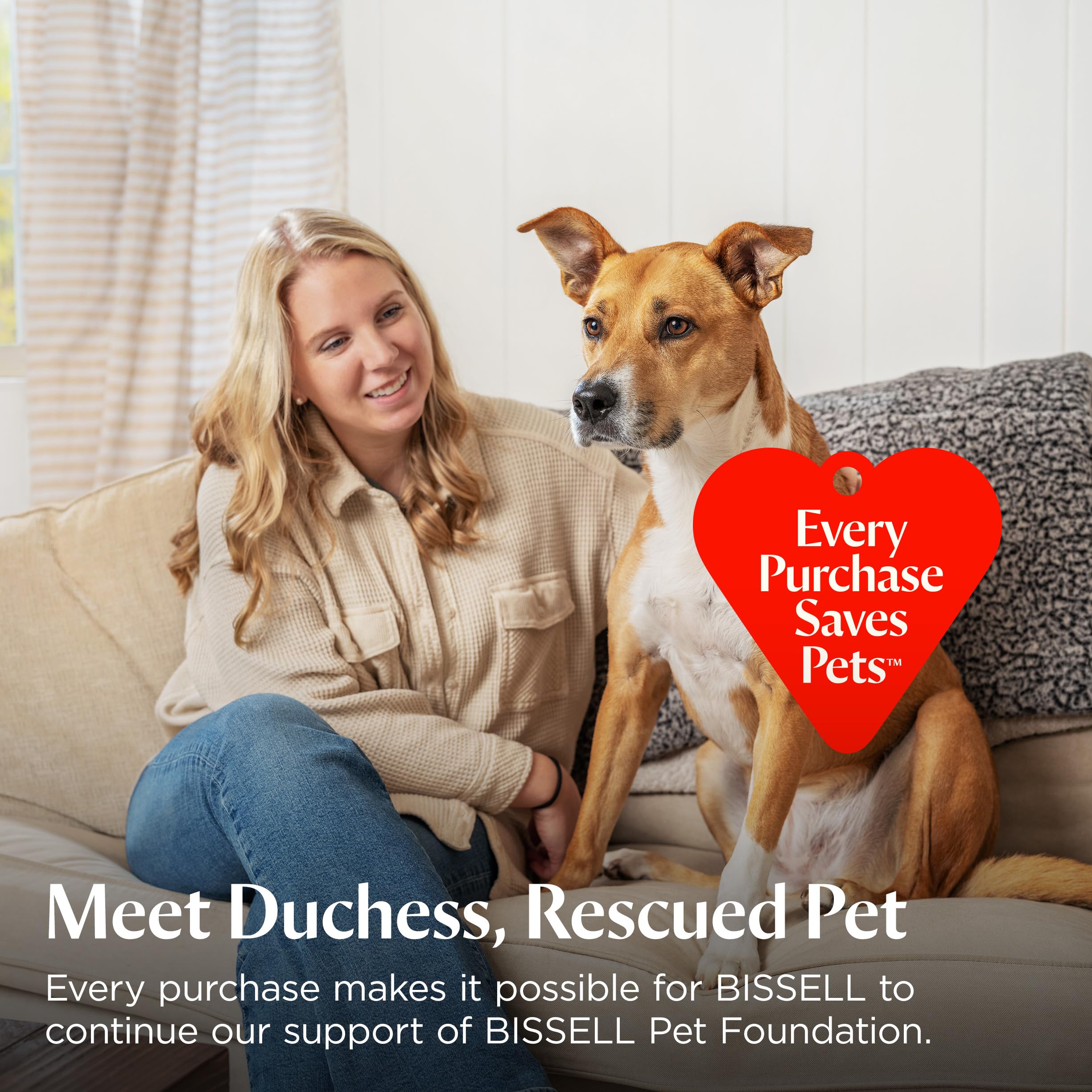 Bissell Pet Hair Eraser DualBrush upright vacuum easy maintenance and reliable performance