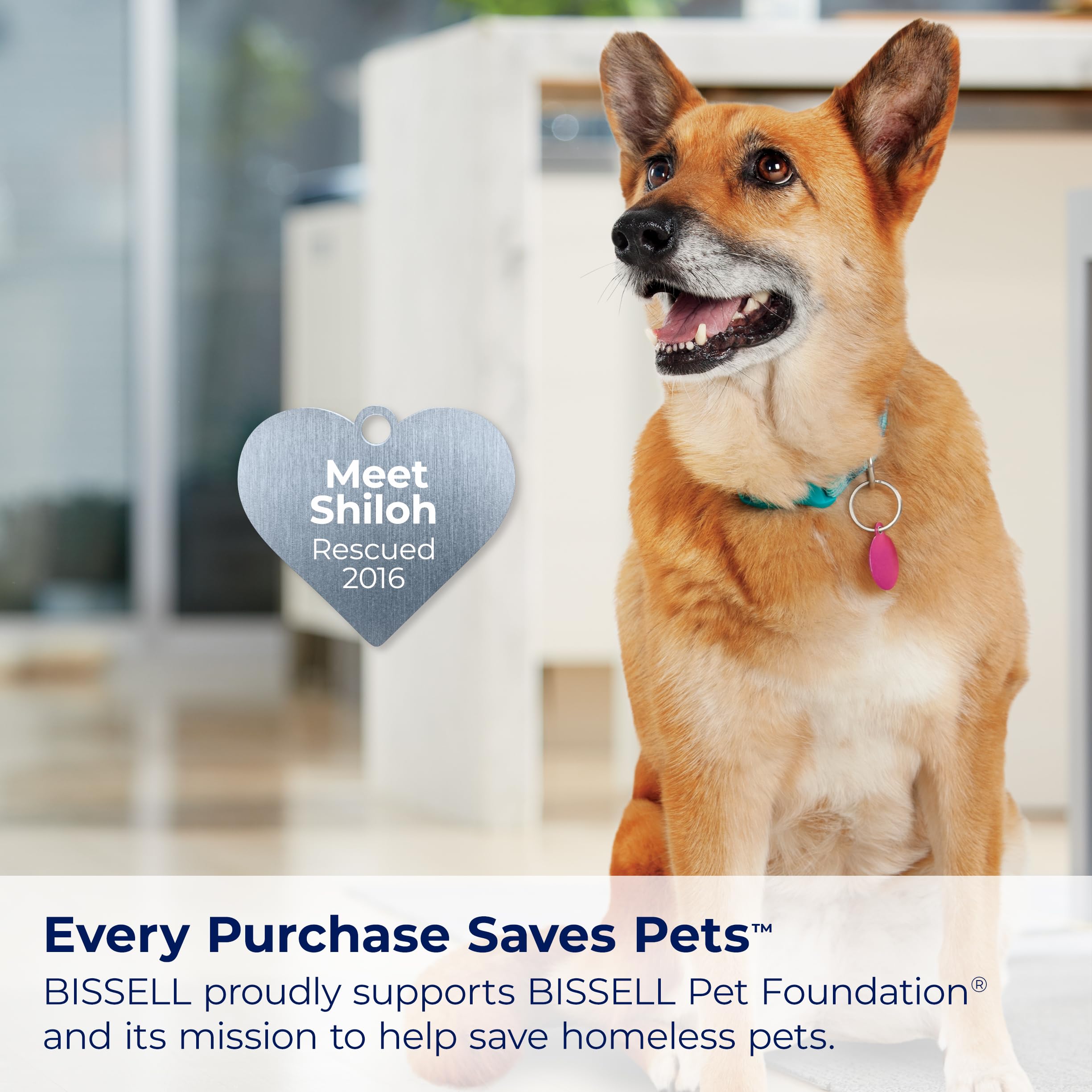 BISSELL PowerGlide Slim Pet XL dirt tank for bigger messes