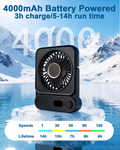 Biswitif 100-speed range adapts from gentle breeze to strong gusts.