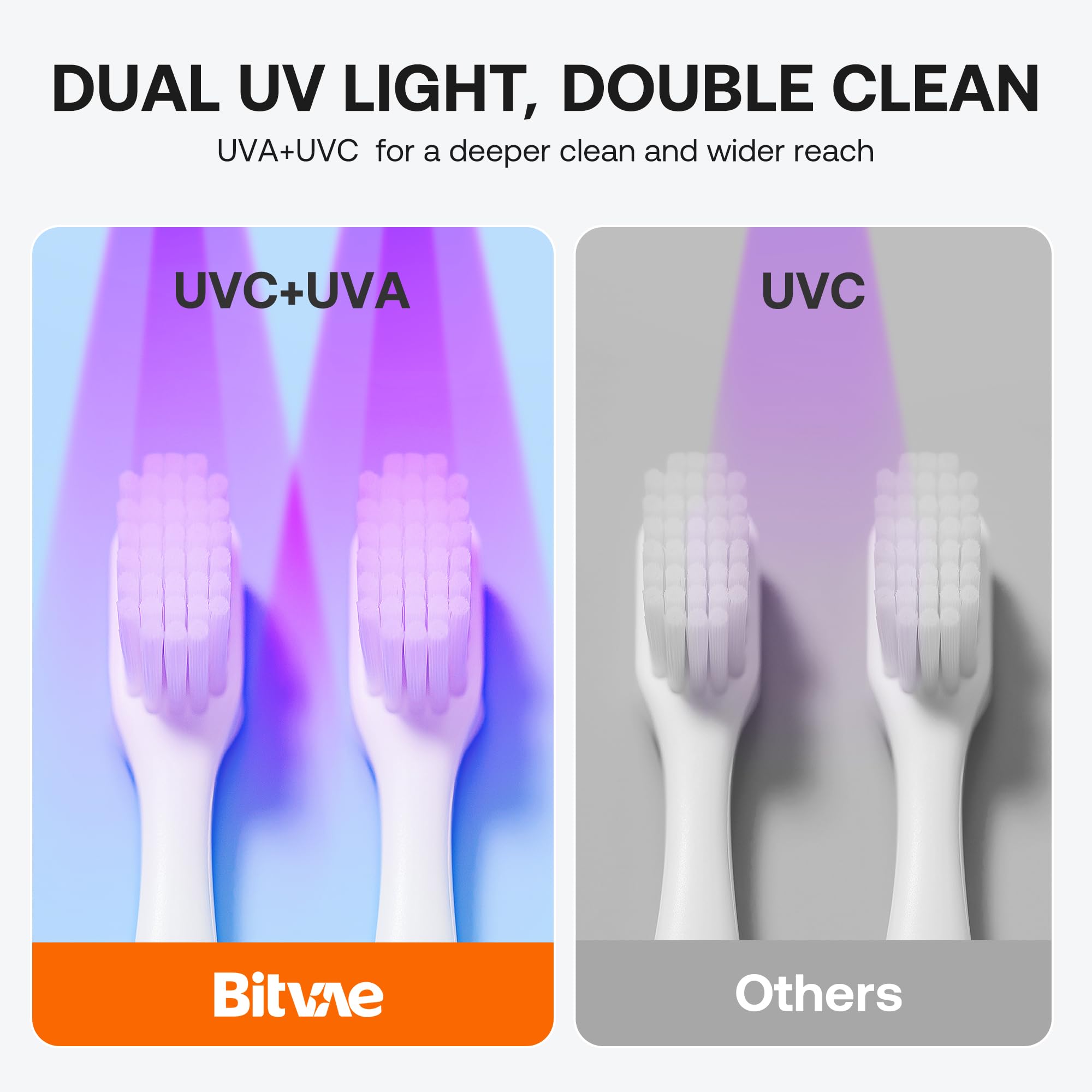 Bitvae includes all setup accessories for quick use.