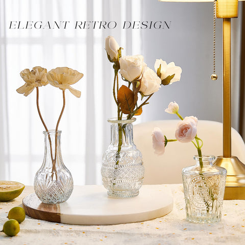 BJONKZ Clear thick glass bud vases highlight transparency and clean lines