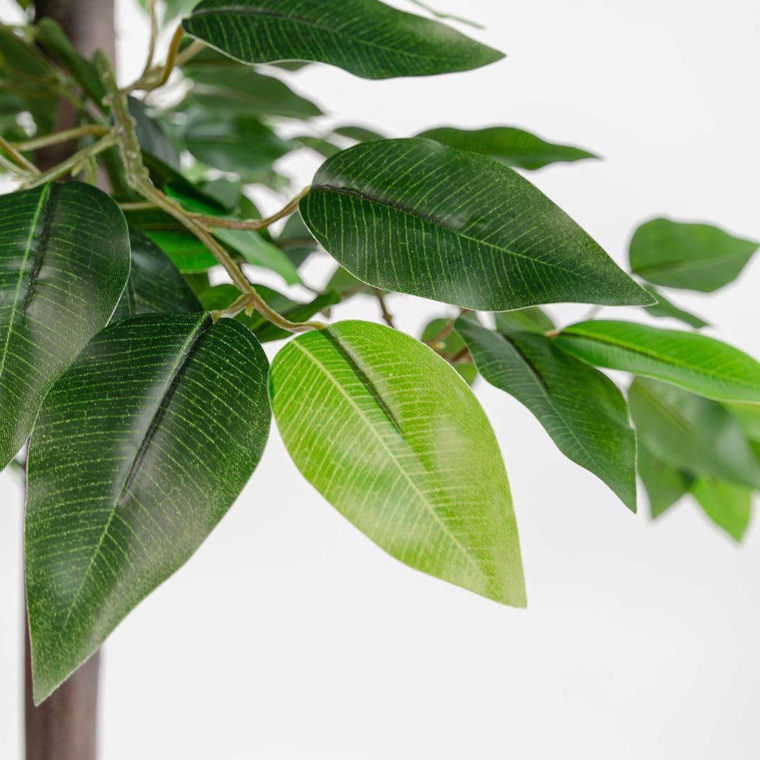 BLAINE Ficus 59in lush green arrangement for low maintenance decor