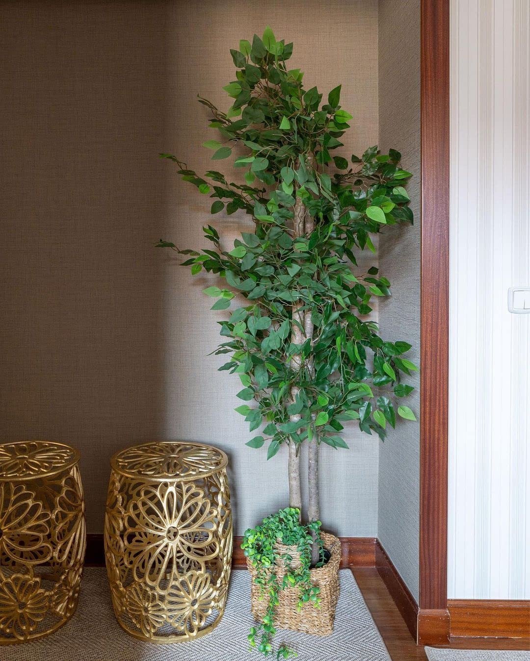 BLAINE Ficus 59in top view leaves for dramatic room centerpiece
