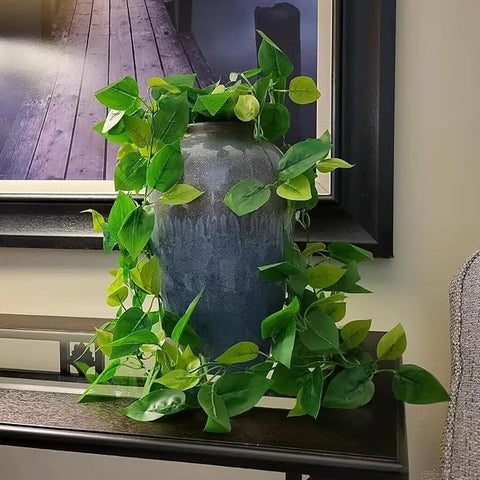BLEUM CADE wall and shelf greens fit walls, shelves, tables, and windowsills.
