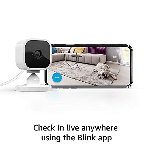 Blink Mini motion detection sends alerts when movement is detected.