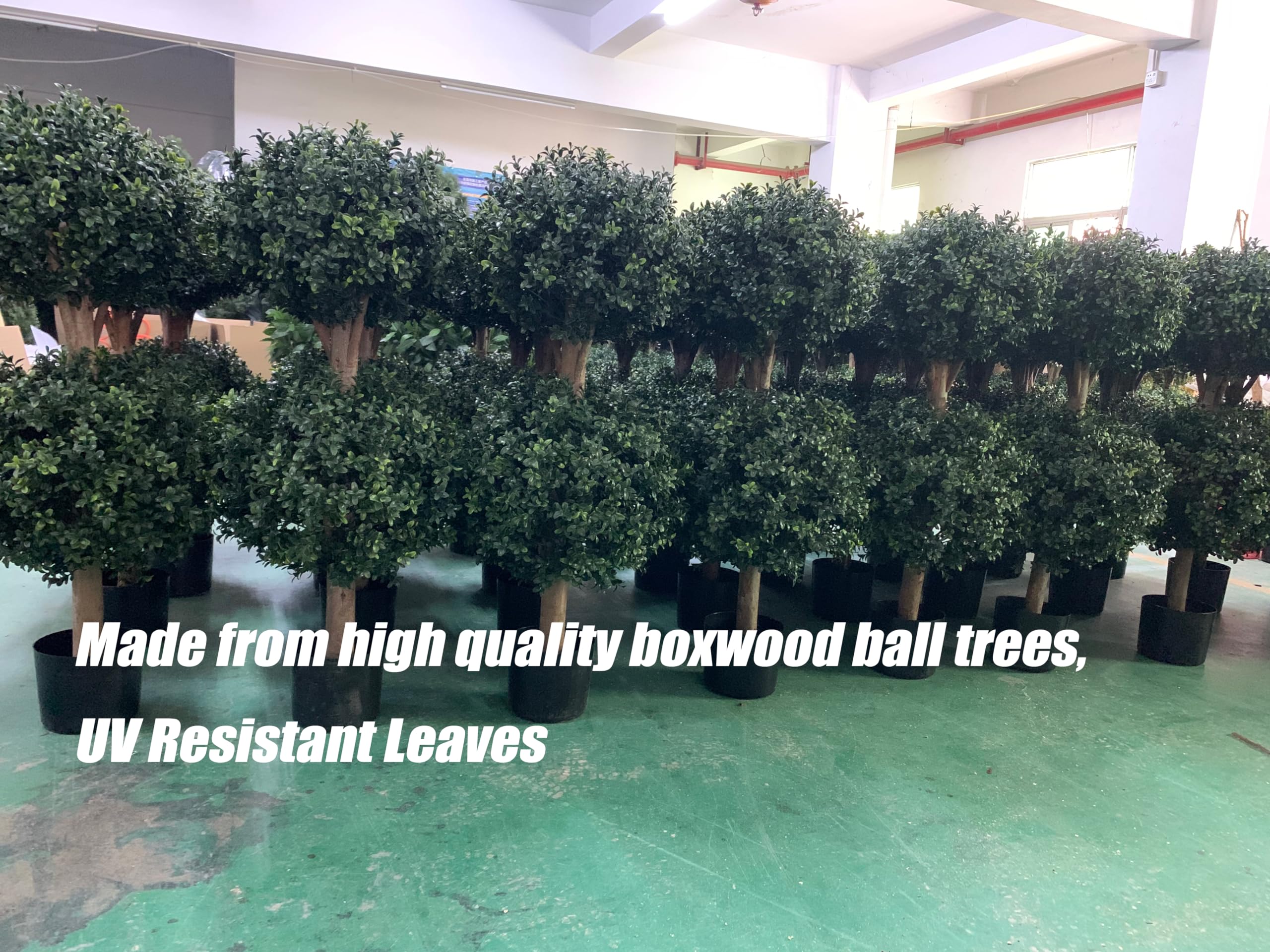BLONYUVC boxwood double-ball topiary assembly showcases balanced, two-ball design for outdoor spaces.