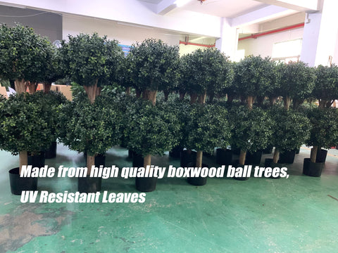 BLONYUVC boxwood double-ball topiary assembly showcases balanced, two-ball design for outdoor spaces.